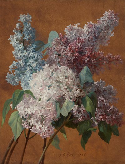 Une étude sur les lilas - Jean-Baptiste Huet