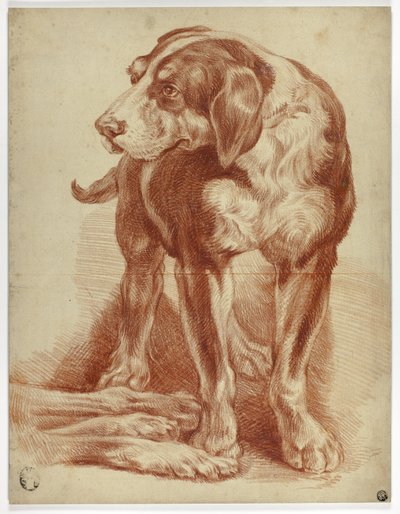 Chien de chasse debout - Jean Baptiste Huet