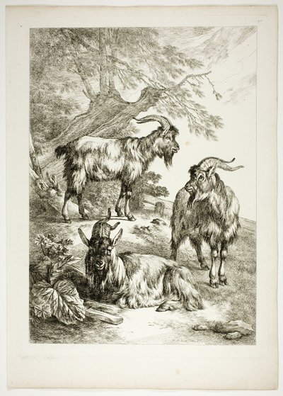 Planche Dix-sept de 38 des Œuvres de J. B. Huet - Jean Baptiste Huet