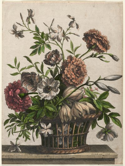 Soucis, anémone simple, jasmin... - Jean Baptiste I Monnoyer