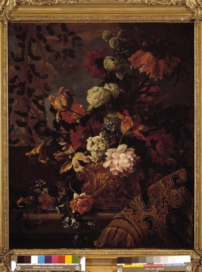 Fleurs - Jean Baptiste Monnoyer