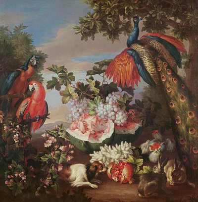 Fruits et oiseaux exotiques dans un paysage - Jean Baptiste Monnoyer
