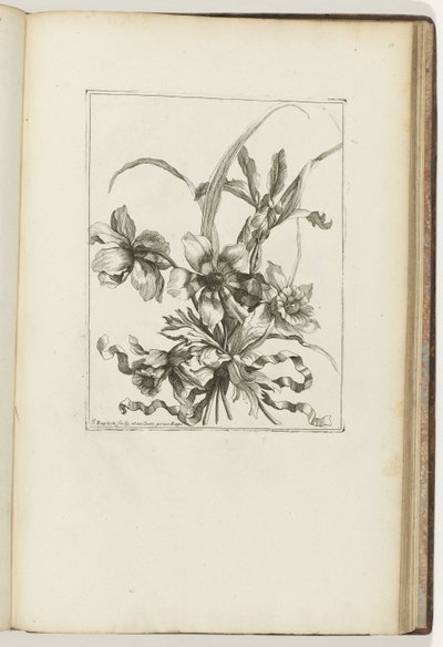 Bouquet lié (Les Petits Bouquets) - Jean Baptiste Monnoyer