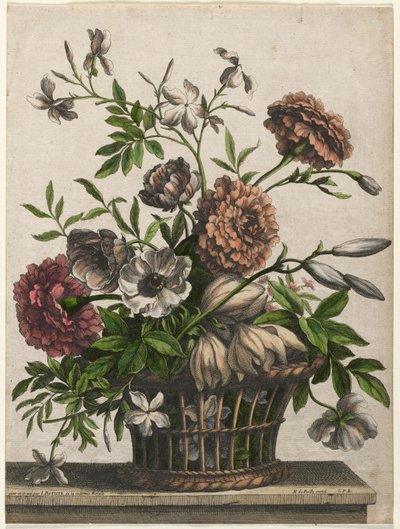 Soucis, anémone simple, jasmin... - Jean Baptiste Monnoyer I