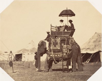 [Lady Canning], 1858-61 - Jean Baptiste Oscar Mallitte