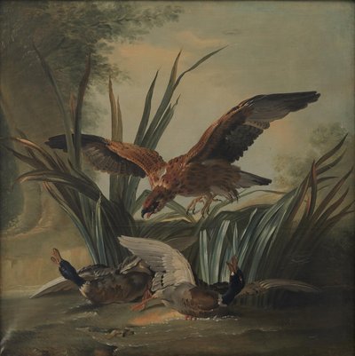 Un faucon attaquant un couple de canards - Jean Baptiste Oudry