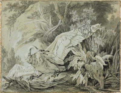 Un cygne sauvage attaqué par un chien - Jean Baptiste Oudry