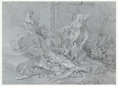 Dessin, Nature morte avec poisson et perroquet, 1740 - Jean Baptiste Oudry