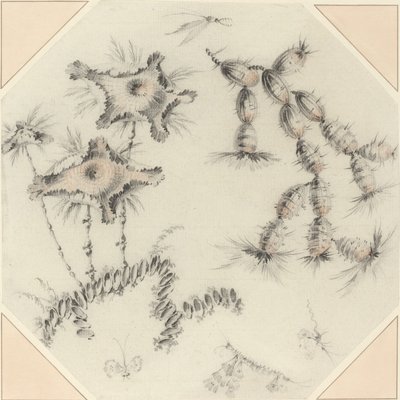 Fleurs de bambou et cactus - Jean Baptiste Pillement