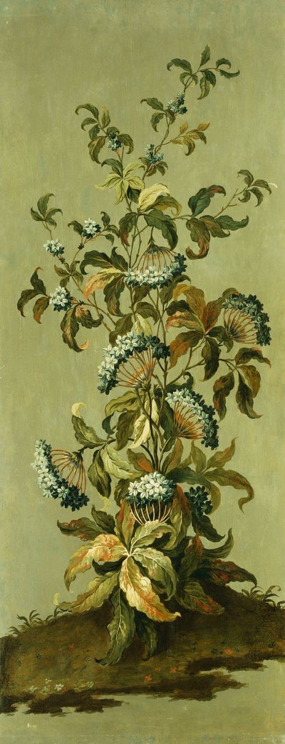 Panneaux décoratifs avec des fleurs - Jean Baptiste Pillement