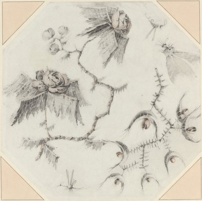 Fleurs et insectes fantaisistes - Jean Baptiste Pillement