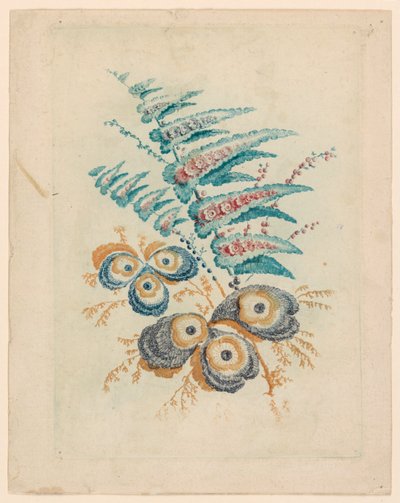 Motif floral fantastique de Nouvelle Suitte de Cahiers de Fleurs Idéales - Jean Baptiste Pillement