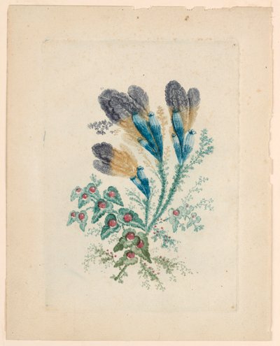 Motif floral fantastique de "Nouvelle Suite de Cahiers de fleurs idéales" - Jean Baptiste Pillement