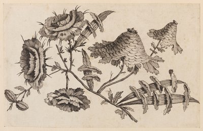 Branche de fleur, de "Recueil de Fleurs Chinois" - Jean Baptiste Pillement