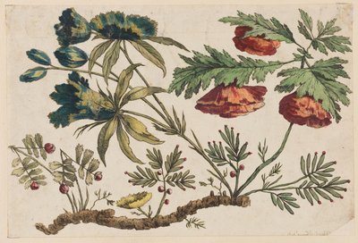 Branche Fleurie, de "Recueil de Fleurs Chinois" - Jean Baptiste Pillement