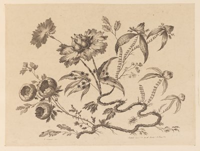 Brindilles de fleurs, de "Recueil de Differentes Fleurs de Fantaisie Dans le Goût Chinois" - Jean Baptiste Pillement