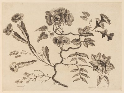 Branches de fleurs, de "Recueil de Différentes Fleurs de Fantaisie Dans le Goût Chinois" - Jean Baptiste Pillement