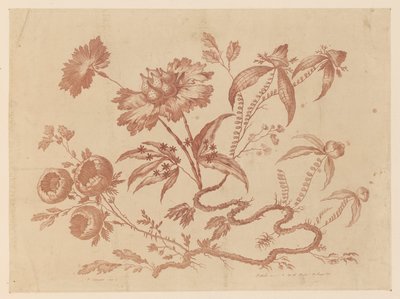 Brindilles de fleurs, de "Recueil de Différentes Fleurs de Fantaisie Dans le Goût Chinois" - Jean Baptiste Pillement