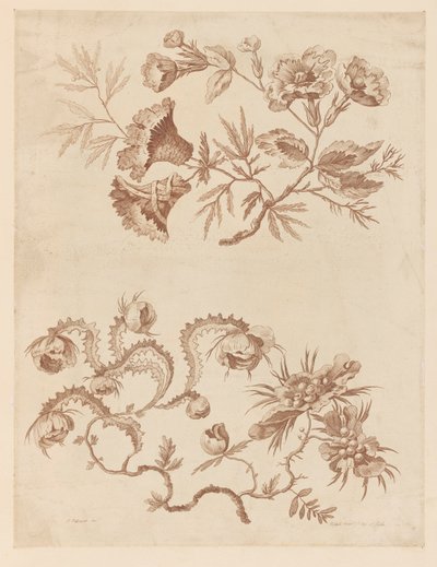 Brindilles de fleurs, de "Recueil de Différentes Fleurs de Fantaisie Dans le Goût Chinois" - Jean Baptiste Pillement