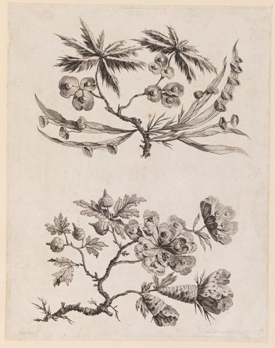 Branches fleuries de "Recueil de Fleurs Chinois" - Jean Baptiste Pillement