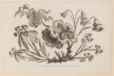 Branches fleuries, de "Recueil de Fleurs de Chinois" - Jean Baptiste Pillement