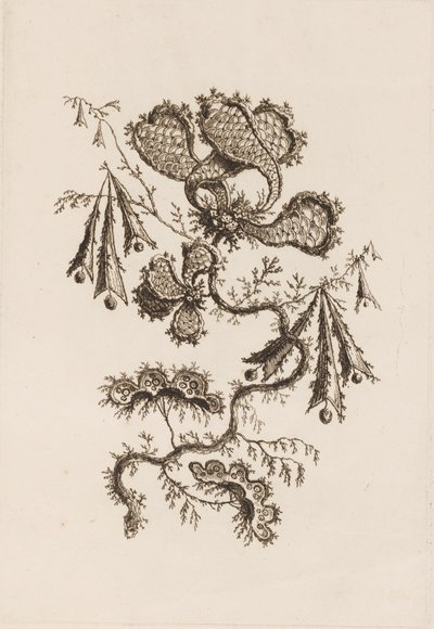 Branche de fleur, de "Fleures Persannes" - Jean Baptiste Pillement