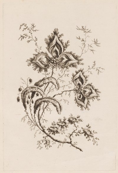 Branche de fleur, de "Fleures Persannes" - Jean Baptiste Pillement