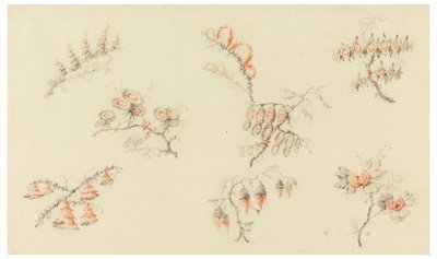 Bouquets de sept fleurs idéales et d