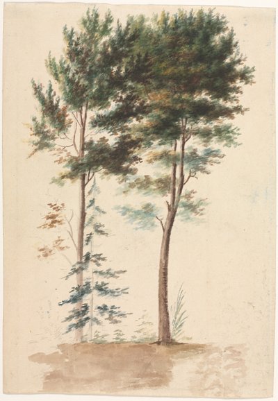 Arbres - Jean Baptiste Pillement