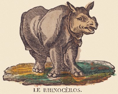 Le rhinocéros, c.1840-1852 - Jean Baptiste Thiebault