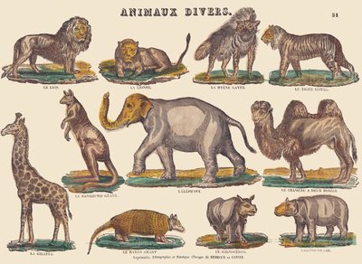 Divers animaux, vers 1840-1852 - Jean Baptiste Thiebault