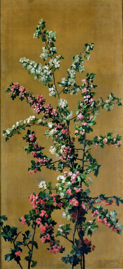 Cerisier japonais et branches d