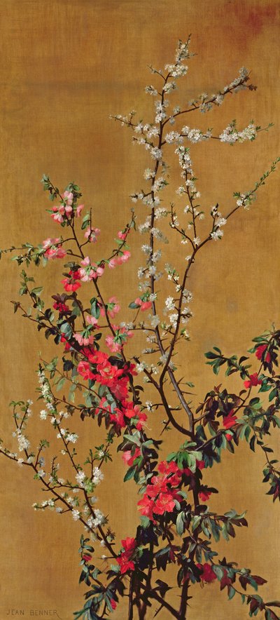 Cerisier japonais et branches d