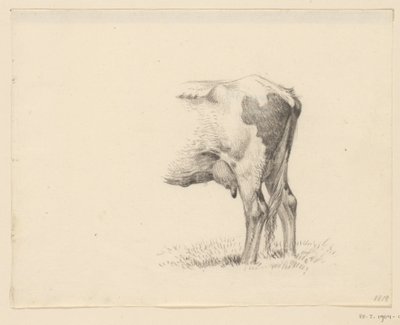 Pattes arrière d