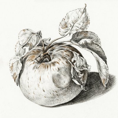 Apple - Jean Bernard