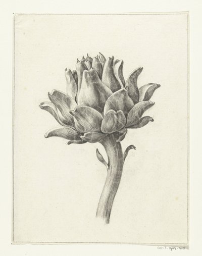 Artichaut - Jean Bernard