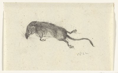 Souris morte - Jean Bernard