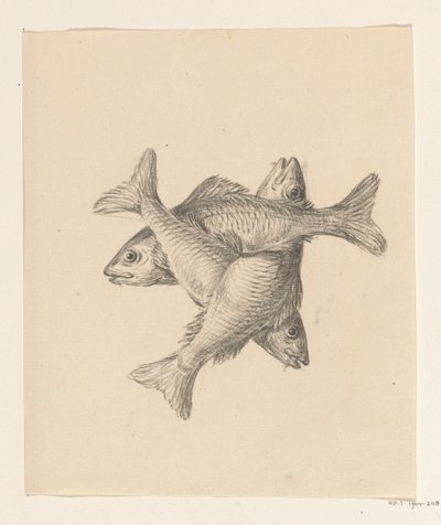 Trois petits poissons disposés en croix - Jean Bernard