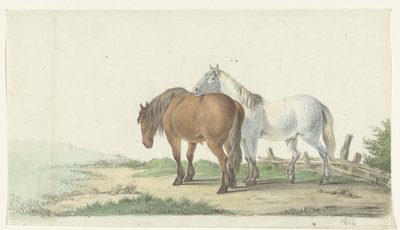 Un cheval brun et un cheval blanc sur un chemin près d