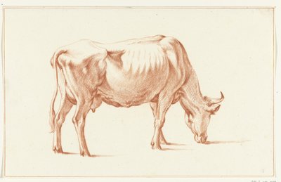 Vache broutant, vers la droite - Jean Bernard