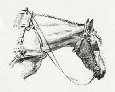 Tête de cheval (1820) - Jean Bernard