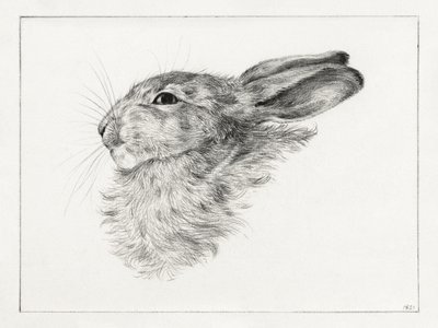 Tête de lapin (1821) - Jean Bernard