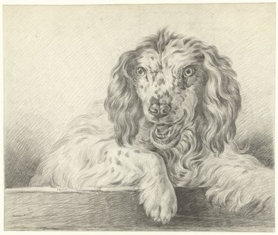 Chien - Jean Bernard
