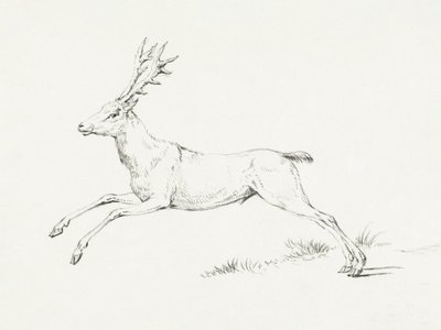 Le cerf bondissant - Jean Bernard