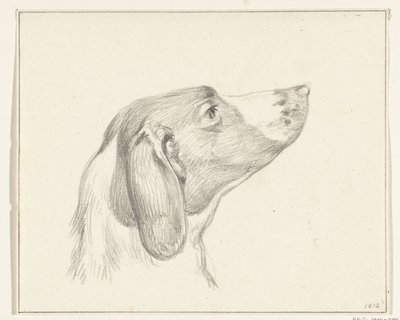 Tête de chien, vers la droite - Jean Bernard