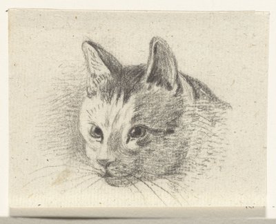 Tête de chat - Jean Bernard