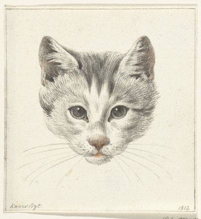 Tête de chat, vue de face à la lumière d