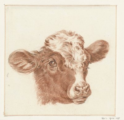 Tête de vache - Jean Bernard