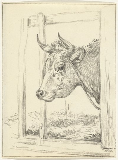 Tête de vache, dans une étable, vers la gauche - Jean Bernard