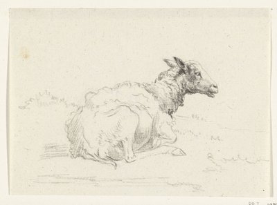Mouton couché, vers la droite - Jean Bernard